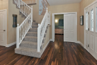 American Black Walnut
