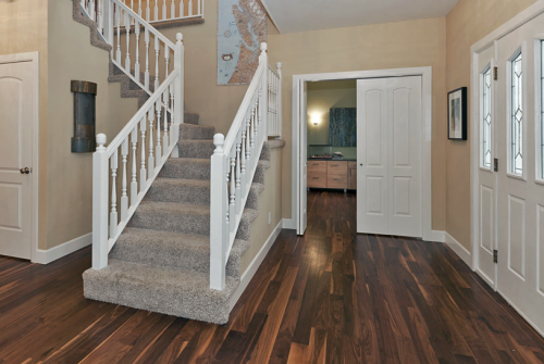 American Black Walnut